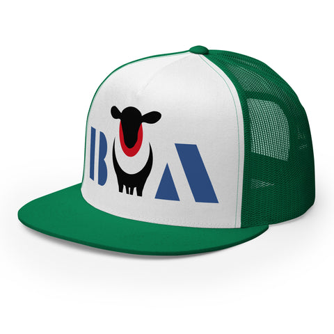 BOA • Cap