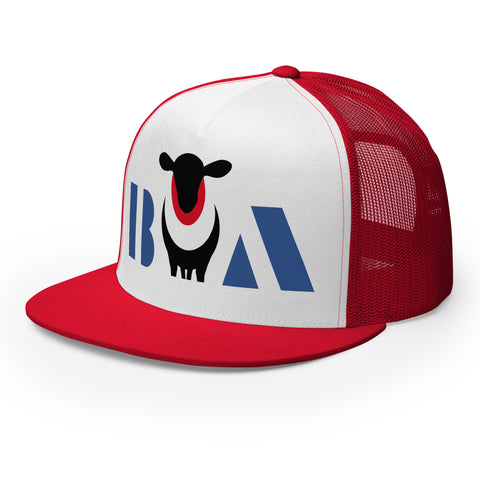 BOA • Cap