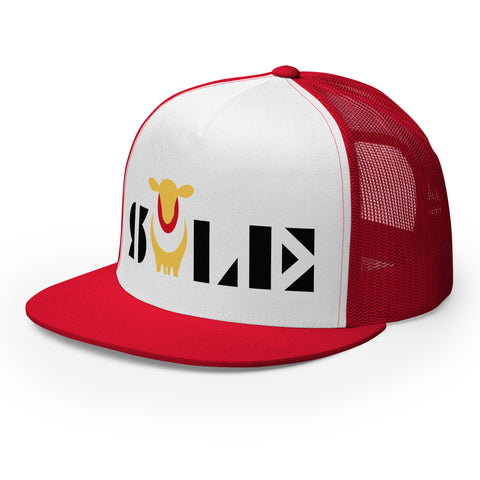 SOLE • Cap